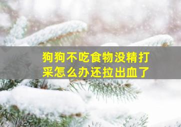 狗狗不吃食物没精打采怎么办还拉出血了