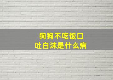 狗狗不吃饭口吐白沫是什么病