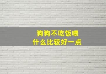 狗狗不吃饭喂什么比较好一点