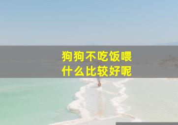 狗狗不吃饭喂什么比较好呢