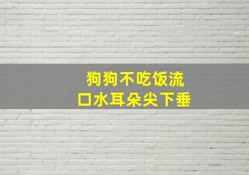 狗狗不吃饭流口水耳朵尖下垂