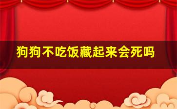 狗狗不吃饭藏起来会死吗