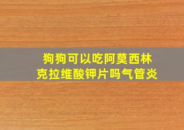 狗狗可以吃阿莫西林克拉维酸钾片吗气管炎