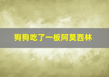 狗狗吃了一板阿莫西林