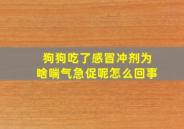 狗狗吃了感冒冲剂为啥喘气急促呢怎么回事