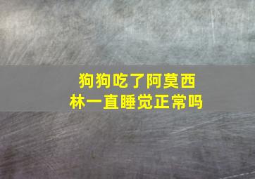 狗狗吃了阿莫西林一直睡觉正常吗