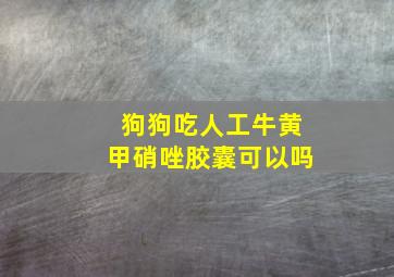 狗狗吃人工牛黄甲硝唑胶囊可以吗