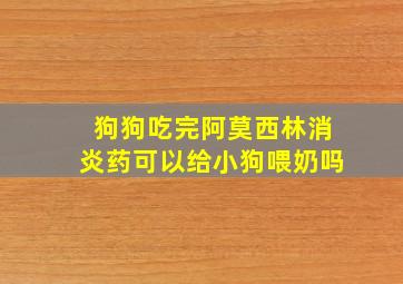 狗狗吃完阿莫西林消炎药可以给小狗喂奶吗