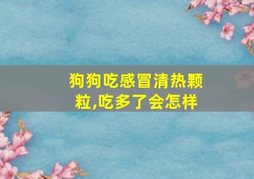 狗狗吃感冒清热颗粒,吃多了会怎样