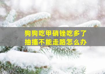 狗狗吃甲硝锉吃多了抽搐不能走路怎么办