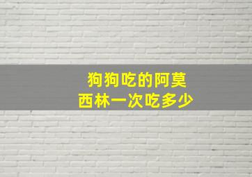 狗狗吃的阿莫西林一次吃多少