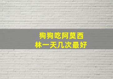 狗狗吃阿莫西林一天几次最好