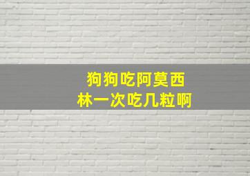 狗狗吃阿莫西林一次吃几粒啊