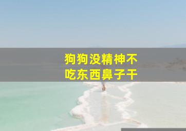 狗狗没精神不吃东西鼻子干