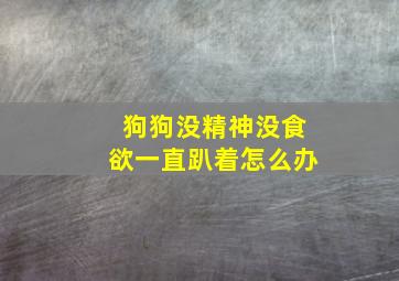 狗狗没精神没食欲一直趴着怎么办