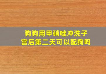 狗狗用甲硝唑冲洗子宫后第二天可以配狗吗