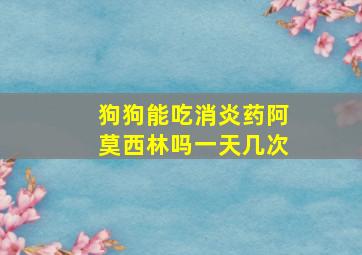 狗狗能吃消炎药阿莫西林吗一天几次