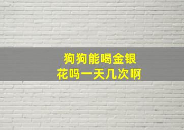 狗狗能喝金银花吗一天几次啊