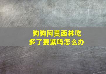 狗狗阿莫西林吃多了要紧吗怎么办