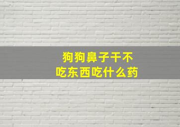 狗狗鼻子干不吃东西吃什么药