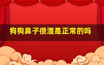 狗狗鼻子很湿是正常的吗