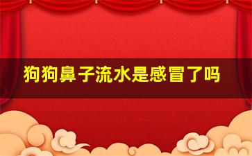 狗狗鼻子流水是感冒了吗