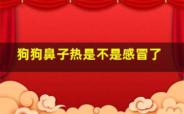 狗狗鼻子热是不是感冒了