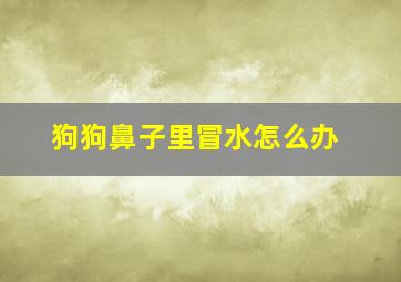 狗狗鼻子里冒水怎么办