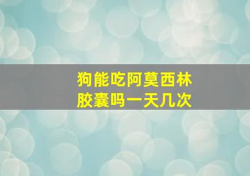 狗能吃阿莫西林胶囊吗一天几次