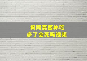 狗阿莫西林吃多了会死吗视频