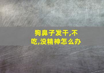 狗鼻子发干,不吃,没精神怎么办