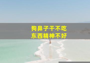 狗鼻子干不吃东西精神不好