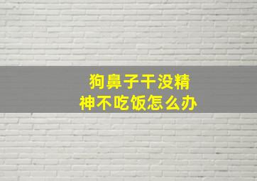 狗鼻子干没精神不吃饭怎么办