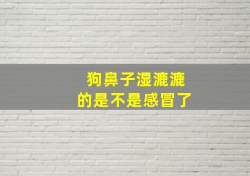 狗鼻子湿漉漉的是不是感冒了