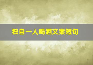 独自一人喝酒文案短句