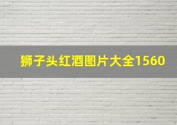 狮子头红酒图片大全1560