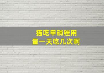 猫吃甲硝锉用量一天吃几次啊