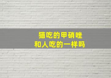 猫吃的甲硝唑和人吃的一样吗