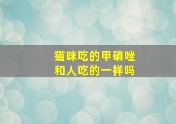 猫咪吃的甲硝唑和人吃的一样吗