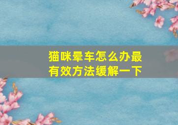 猫咪晕车怎么办最有效方法缓解一下