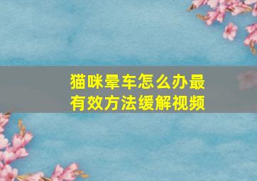 猫咪晕车怎么办最有效方法缓解视频