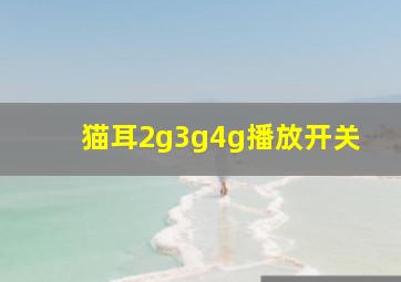 猫耳2g3g4g播放开关