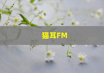 猫耳FM