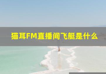 猫耳FM直播间飞艇是什么