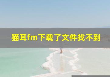 猫耳fm下载了文件找不到