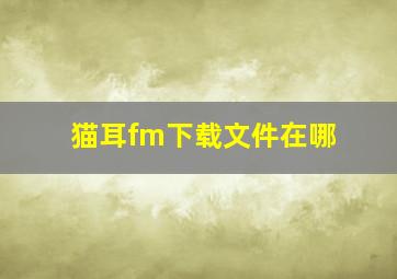 猫耳fm下载文件在哪