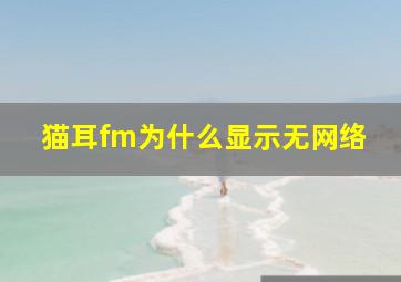 猫耳fm为什么显示无网络