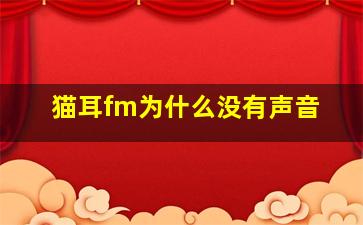 猫耳fm为什么没有声音