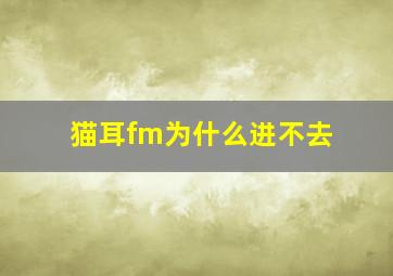 猫耳fm为什么进不去