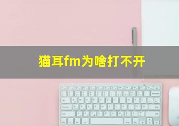 猫耳fm为啥打不开